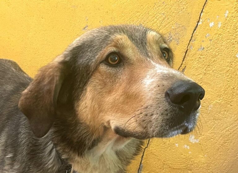 multimedia-foto78875-393-1