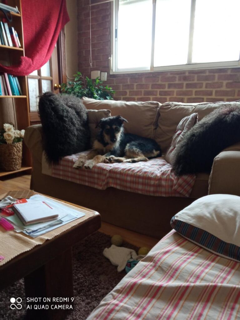 multimedia-foto78884-865-1