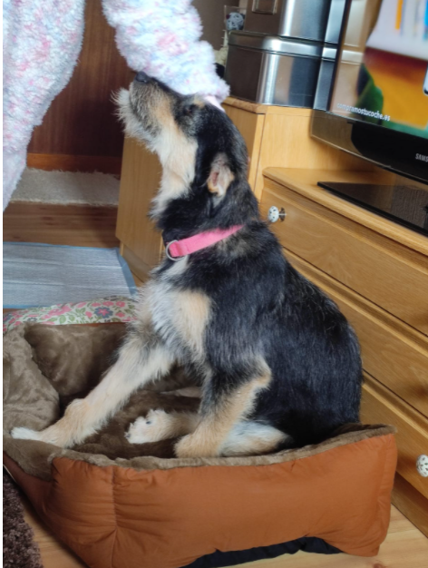 multimedia-foto78886-866-1