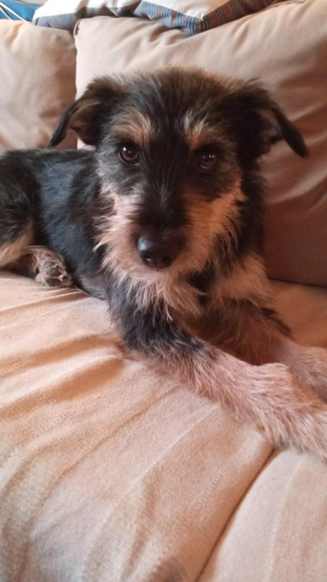 multimedia-foto78887-866-1