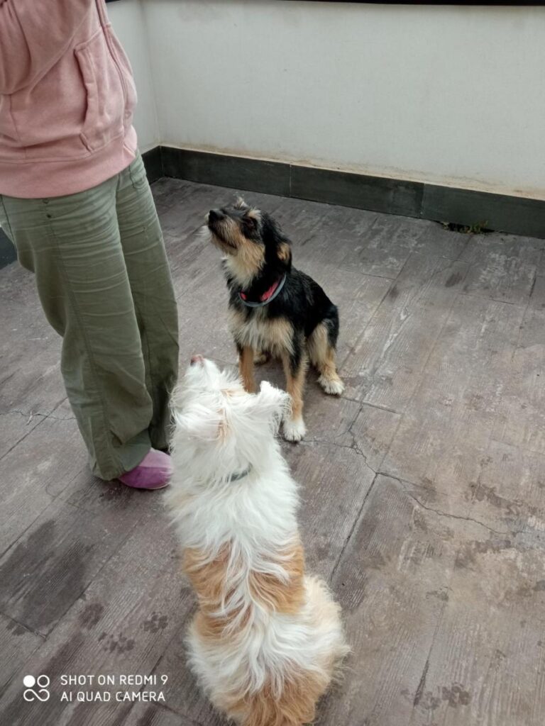 multimedia-foto78888-866-1