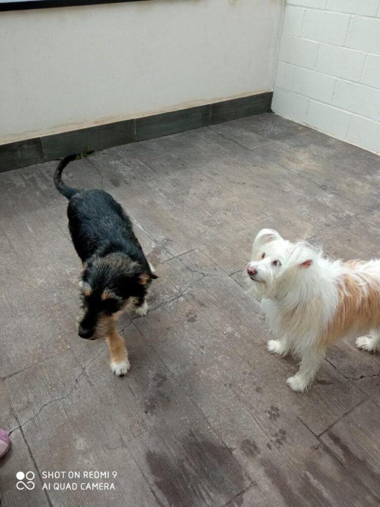 multimedia-foto78889-866-1