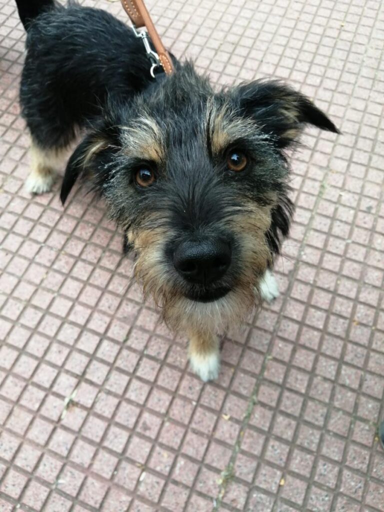 multimedia-foto78890-866-1