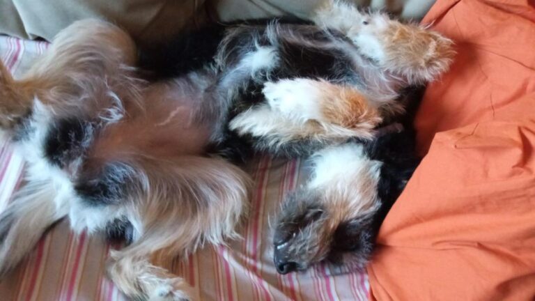 multimedia-foto78891-867-1