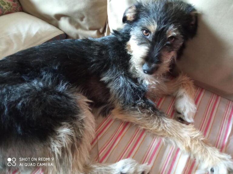 multimedia-foto78892-867-1