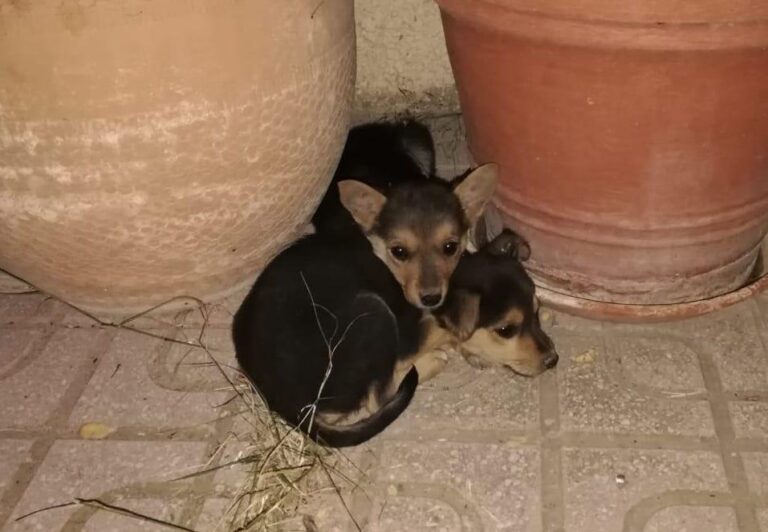 multimedia-foto78976-562-1