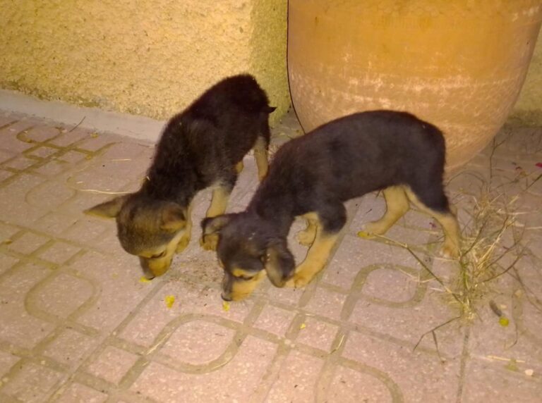 multimedia-foto78977-562-1