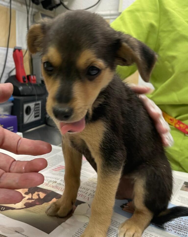 multimedia-foto78978-563-1