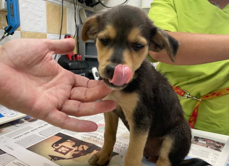 multimedia-foto78979-563-1