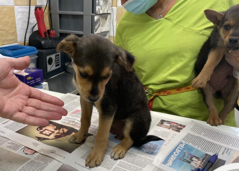 multimedia-foto78980-563-1