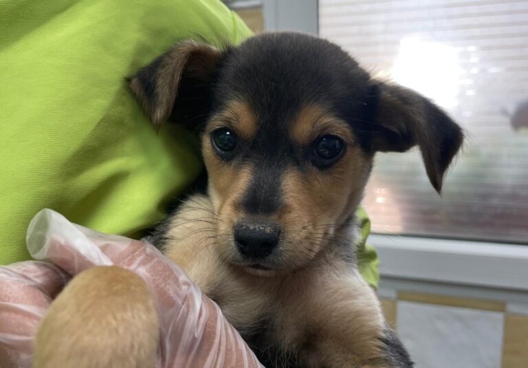 multimedia-foto78981-563-1