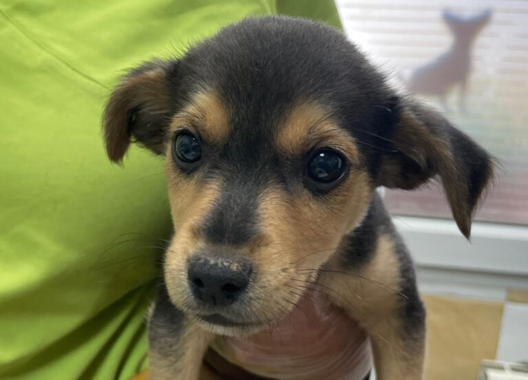 multimedia-foto78983-564-1