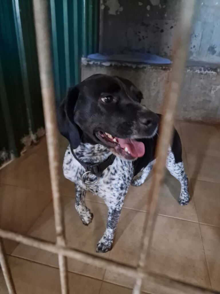 multimedia-foto78997-47-1