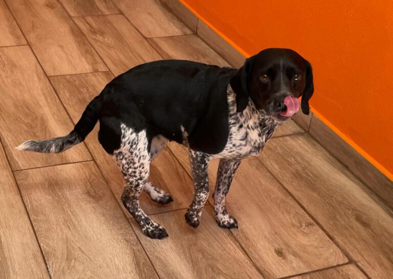 multimedia-foto78998-47-1