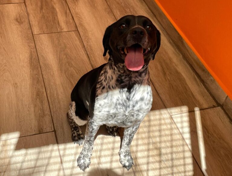 multimedia-foto78999-47-1