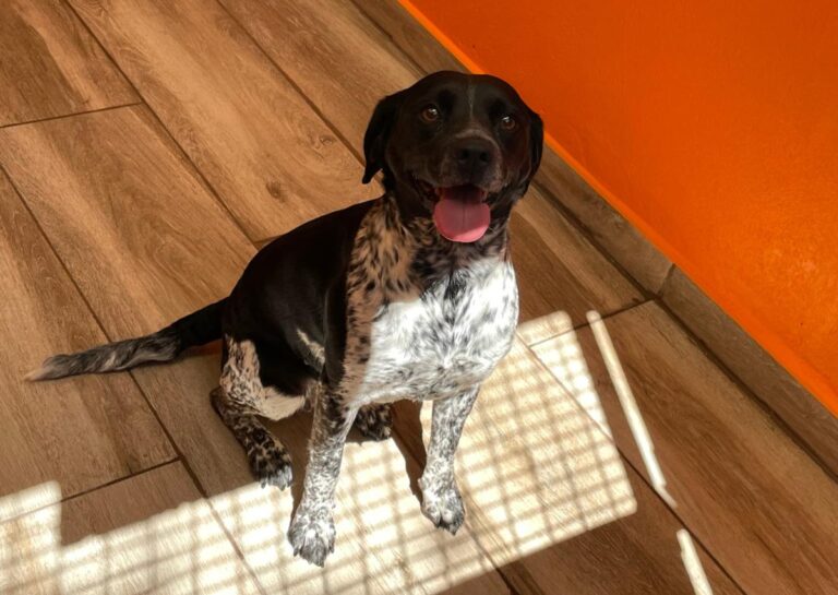 multimedia-foto79000-47-1