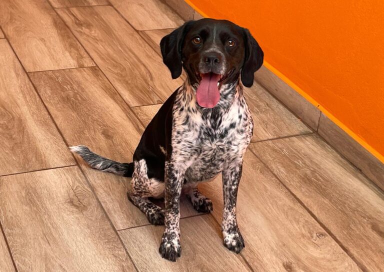 multimedia-foto79001-48-1