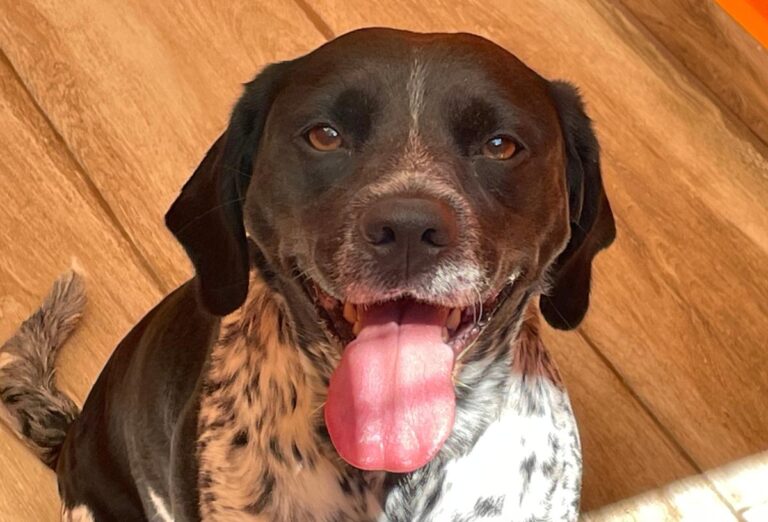 multimedia-foto79002-48-1