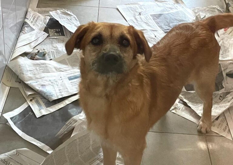 multimedia-foto79042-815-1