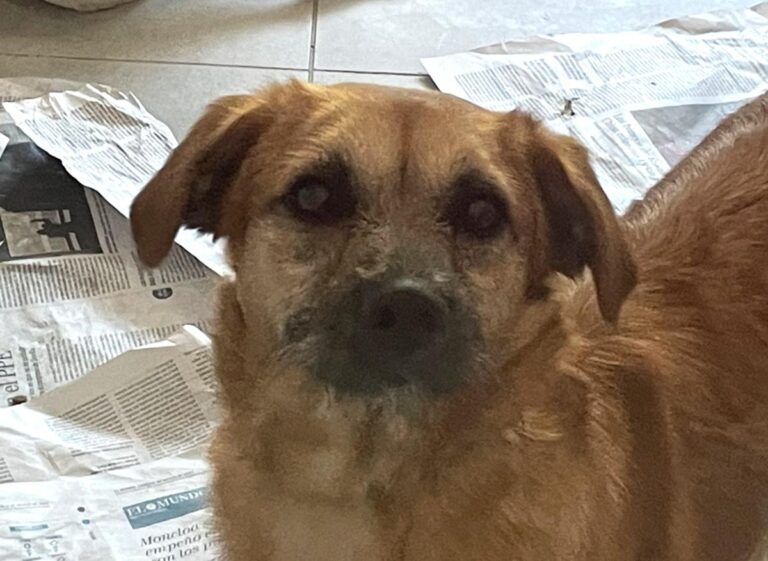 multimedia-foto79044-815-1