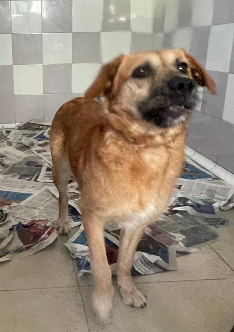 multimedia-foto79046-815-1