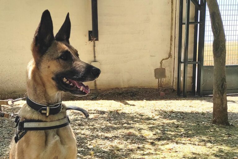 multimedia-foto79073-550-1