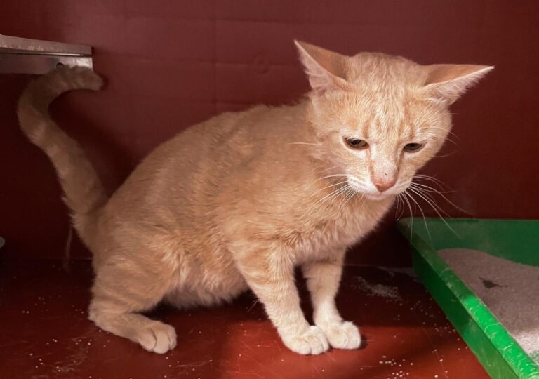 multimedia-foto79075-36-1