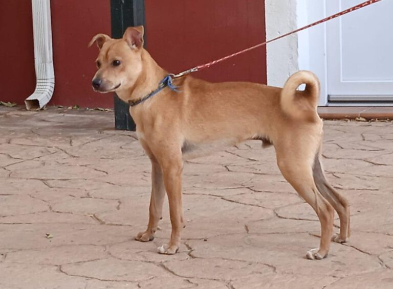 multimedia-foto79108-198-1