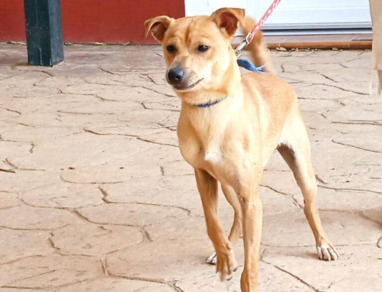 multimedia-foto79109-198-1