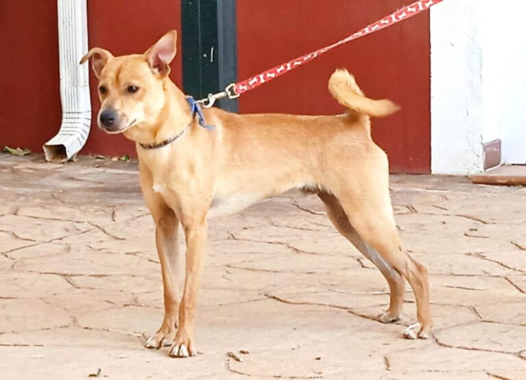 multimedia-foto79111-199-1