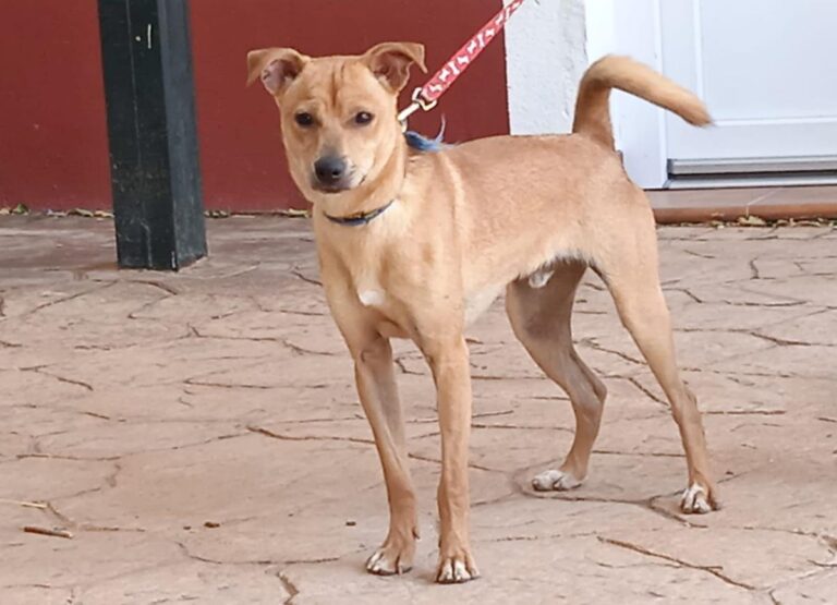 multimedia-foto79112-199-1