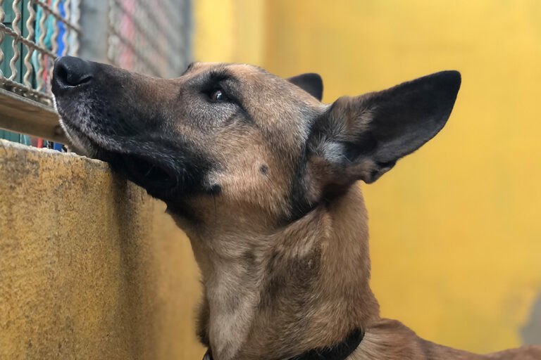 multimedia-foto79114-307-1