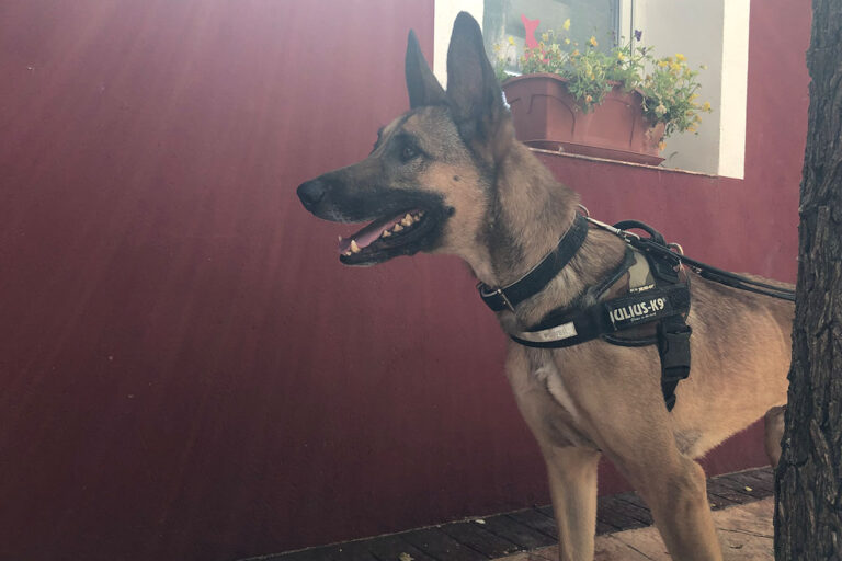 multimedia-foto79115-307-1