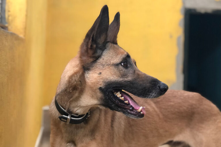 multimedia-foto79116-308-1