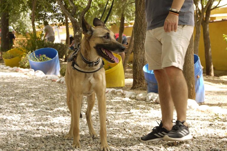 multimedia-foto79117-308-1