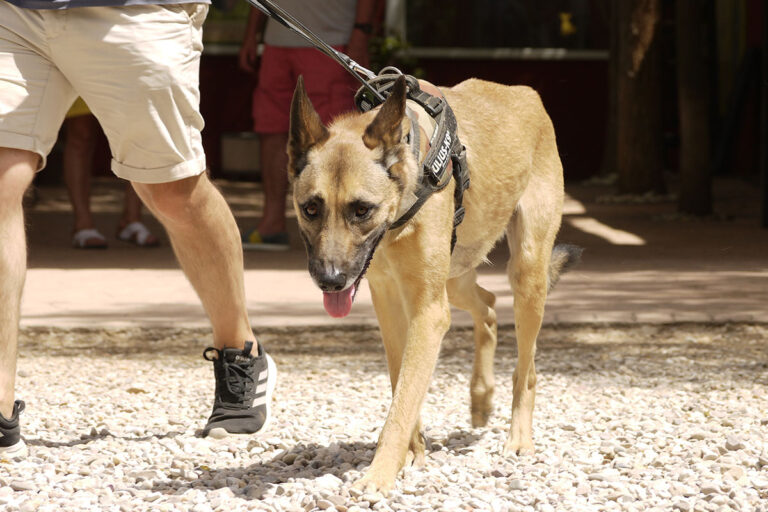 multimedia-foto79118-308-1