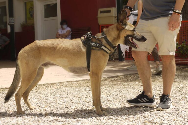 multimedia-foto79119-308-1