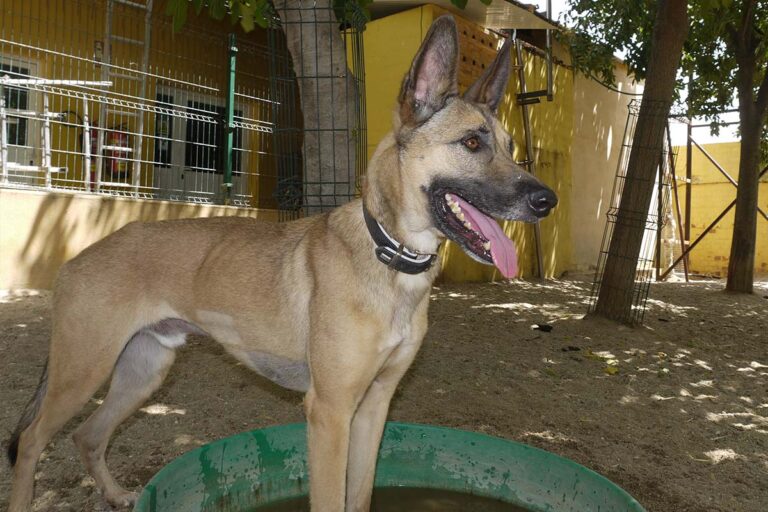 multimedia-foto79120-308-1