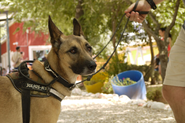 multimedia-foto79121-309-1