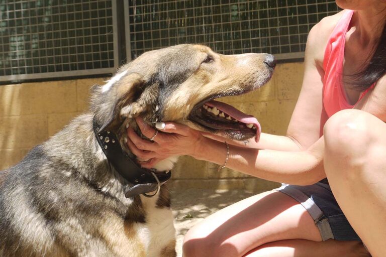 multimedia-foto79122-460-1