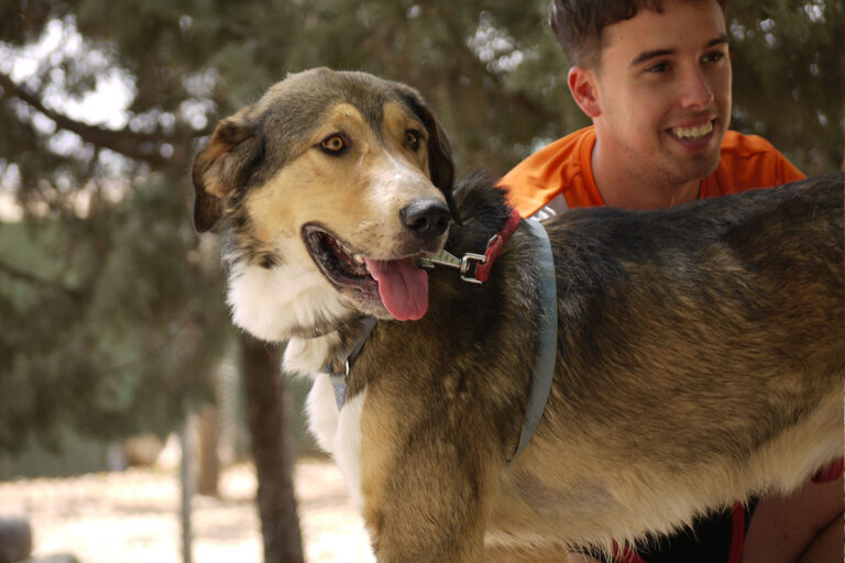 multimedia-foto79123-460-1