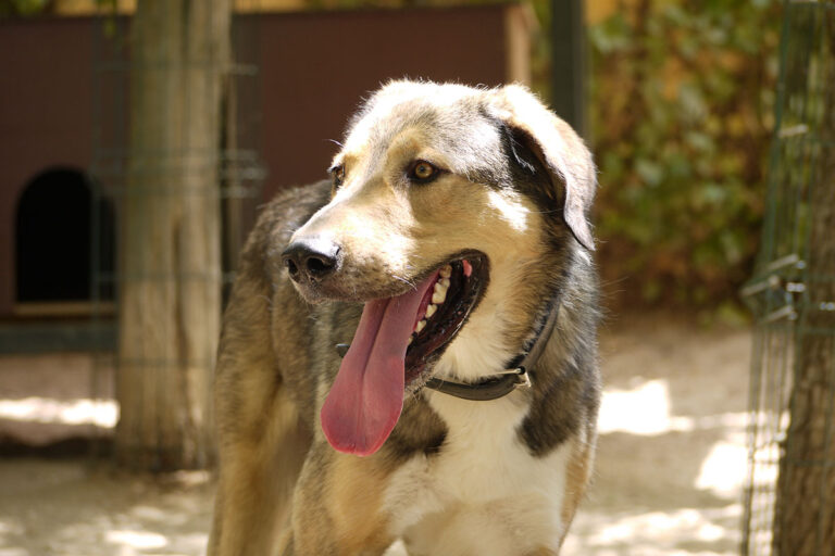 multimedia-foto79124-460-1