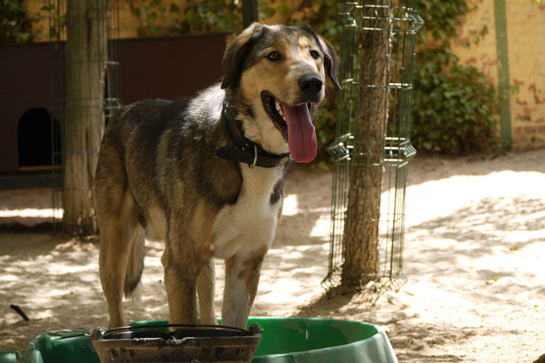 multimedia-foto79125-460-1