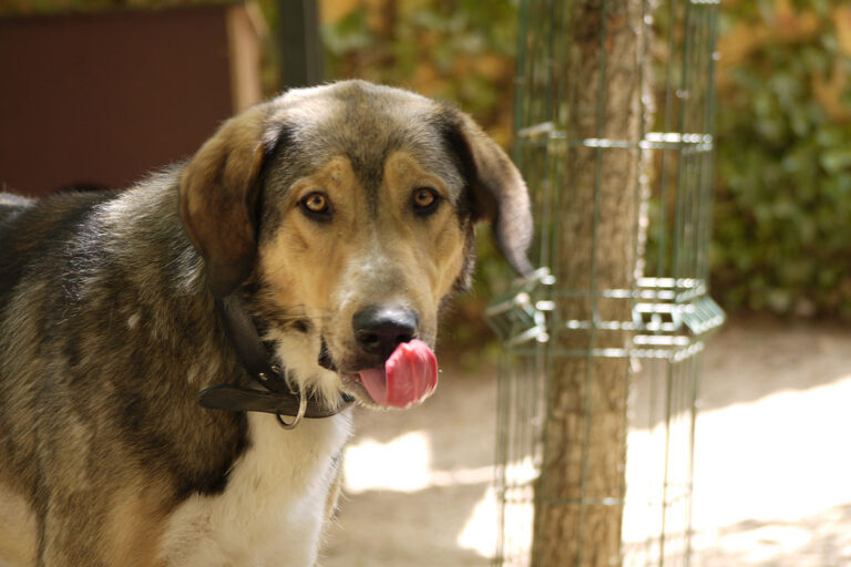 multimedia-foto79126-460-1