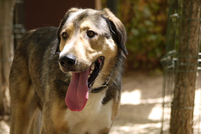 multimedia-foto79128-461-1