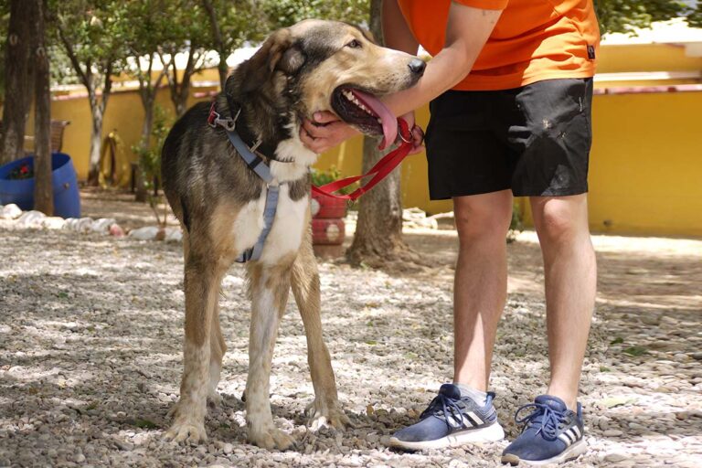 multimedia-foto79129-461-1