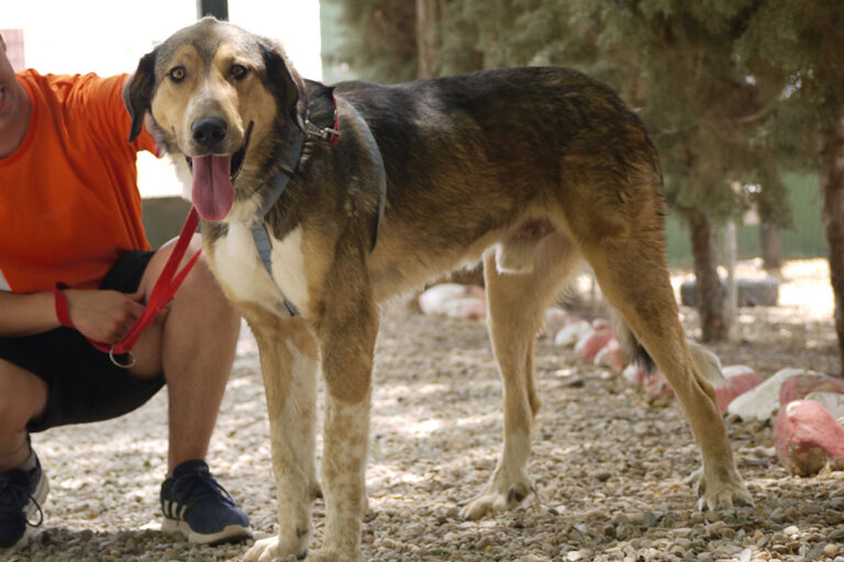 multimedia-foto79131-461-1