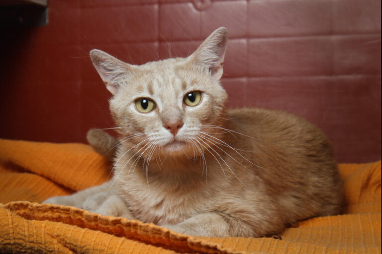 multimedia-foto79134-834-1