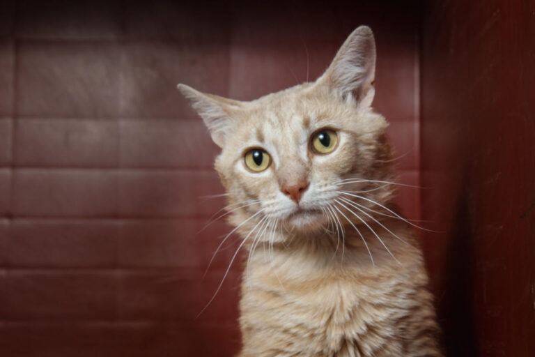 multimedia-foto79135-834-1