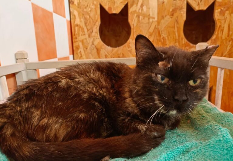 multimedia-foto79150-878-1